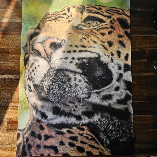Wildlife Art. Jaguar coloured pencil portrait. Drawn using coloured pencils. Large piece