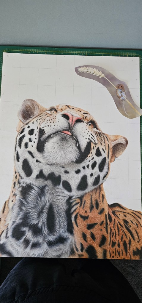 Close-up of a detailed colored pencil drawing of a jaguar looking upwards, with a small mouse reference image placed above.