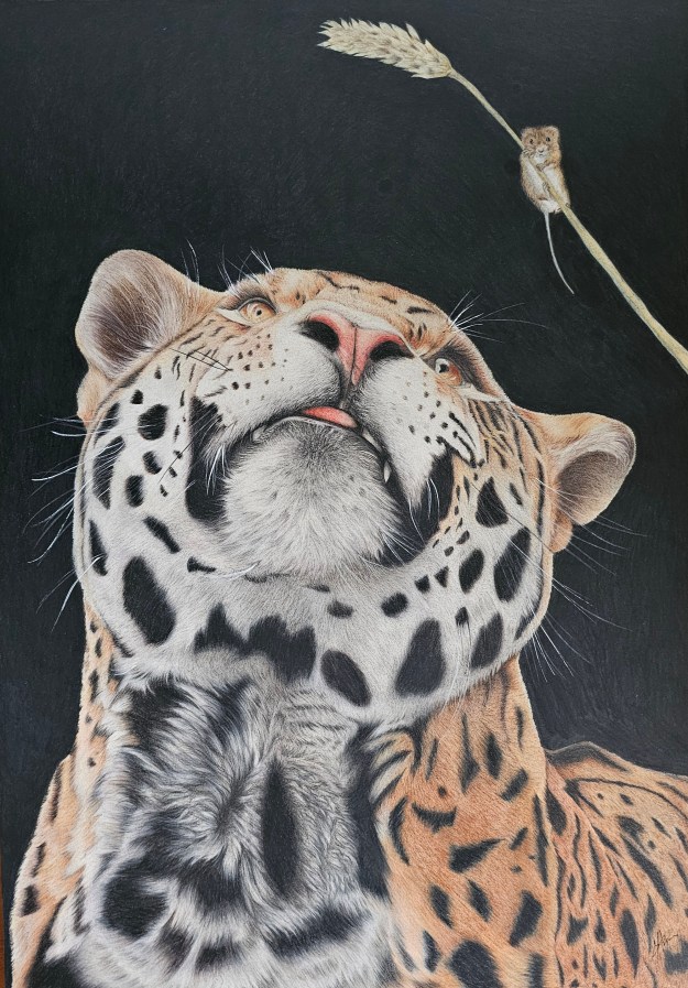 A detailed colored pencil drawing of a jaguar looking up, with its mouth slightly open, and a small mouse sitting on a stalk of wheat above it. The background is predominantly black, emphasizing the jaguar's facial features and the vibrant fur patterns.